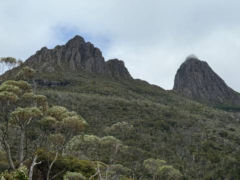 Sharp craggy peaks rise above dense eucalyptus forest under a moody sky.