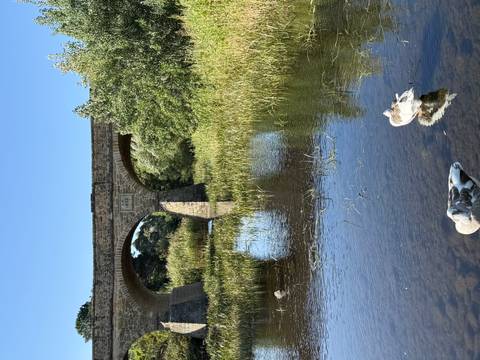 An historic stone bridge from 1823 spans a tranquil river bordered by reeds and ducks.