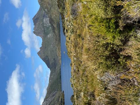 Cradle Mountain's jagged peaks tower over a deep blue lake fringed by alpine scrub.