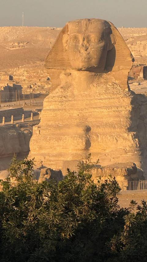 Tight crop of the eroded stone face and chest of the Great Sphinx under warm light.