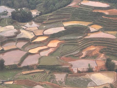 Aerial view of multi-coloured stepped rice paddies creating abstract shapes across the hillside.
