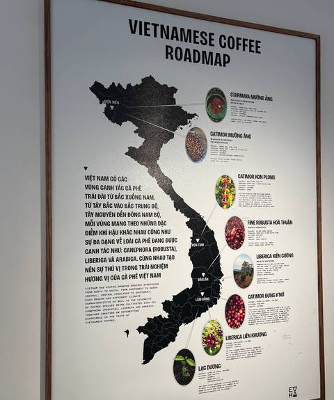 Educational map poster of Vietnam illustrating coffee-growing regions and bean varieties.