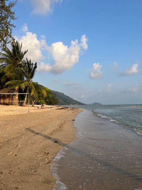 Quiet sandy beach edged with palm trees and a simple volleyball net, with gentle waves and hills in the distance on Koh Phangan.
