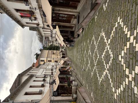 Cobblestone bazaar street lined with shops on an overcast day (duplicate).