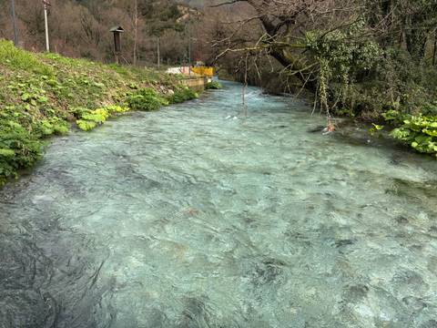 Crystal clear stream flowing through green banks and foliage (duplicate).