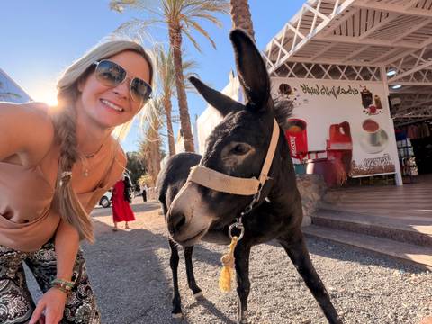 Smiling traveler posing with a friendly black donkey near a souvenir shop
