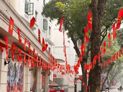 Vietnamese national flags hang in rows above a leafy city street lined with colonial buildings.