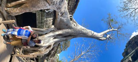Couple posing beneath massive tree roots growing over an ancient stone ruin on a bright day