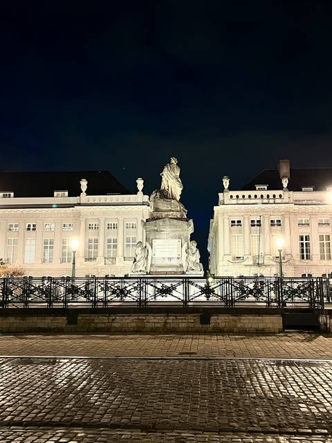 Nighttime view of an illuminated statue flanked by classic buildings in a European square.