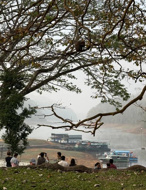 Misty lake framed by tree branches with distant hills barely visible in the fog.