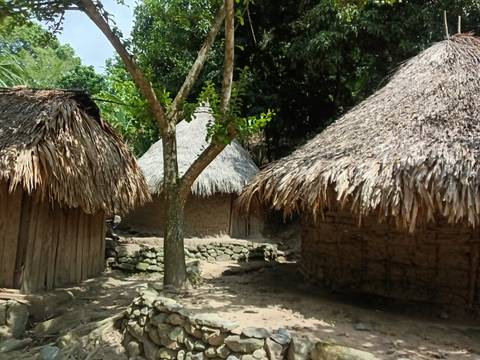 Traditional thatched huts and a lone tree stand in a remote jungle village clearing.