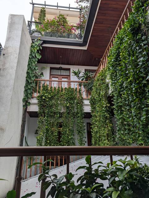 Charming inner courtyard with cascading green vines and wooden balcony railings.