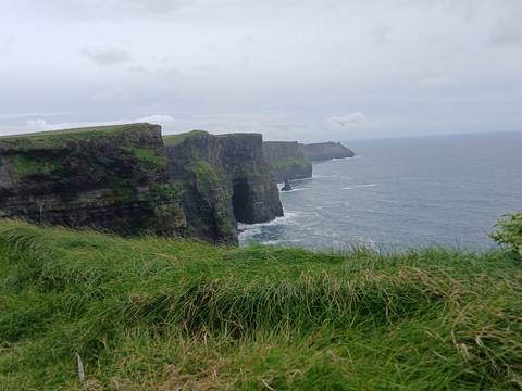 Dramatic vertical cliffs plunging into the Atlantic Ocean with windswept grass in the foreground.