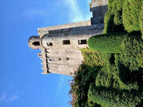 Historic stone Blarney Castle rising above manicured greenery under a bright blue sky.