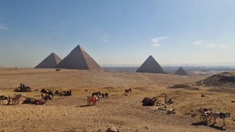 Expansive desert scene with the Great Pyramids of Giza and camel carts scattered across the sandy foreground.