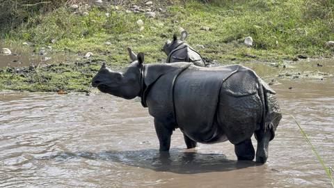 Klantbeoordelingsfoto van Nepal Snapshot 7 dagen - One Life Adventures