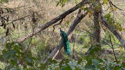 Klantbeoordelingsfoto van Nepal Snapshot 7 dagen - One Life Adventures