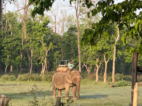 Klantbeoordelingsfoto van Nepal Snapshot 7 dagen - One Life Adventures