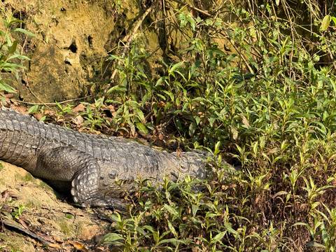Klantbeoordelingsfoto van Nepal Snapshot 7 dagen - One Life Adventures