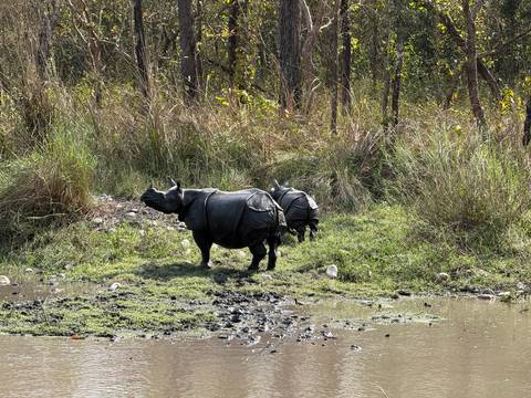 Klantbeoordelingsfoto van Nepal Snapshot 7 dagen - One Life Adventures