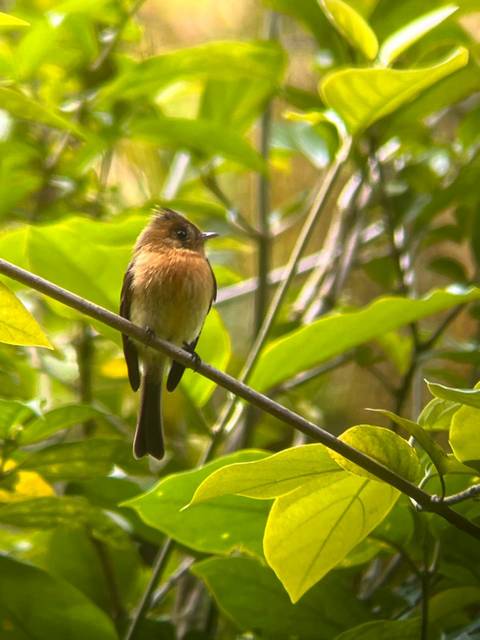 foto de reseña de cliente de La esencia de Costa Rica - paquete de viaje con el Parque Nacional Manuel Antonio