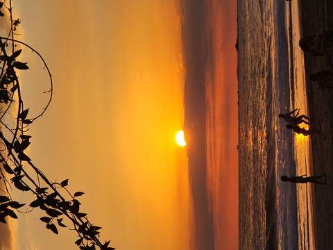 Golden sunset over the Pacific with children playing on the beach in silhouette