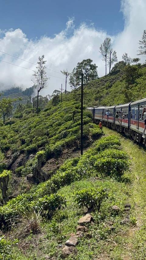 Photo d'avis client sur Le tour suprême du Sri Lanka (15 jours) Possibilité de surclassement en circuit privé