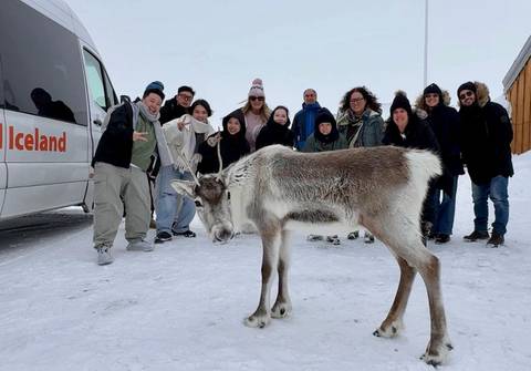 Travel group poses with a curious reindeer beside a snowy tour van in Iceland.