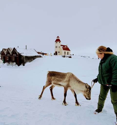 Traveler feeds a reindeer near a red-roofed church on snowy ground.