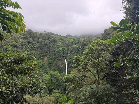 Tall waterfall plunging into lush green rainforest valley under misty clouds