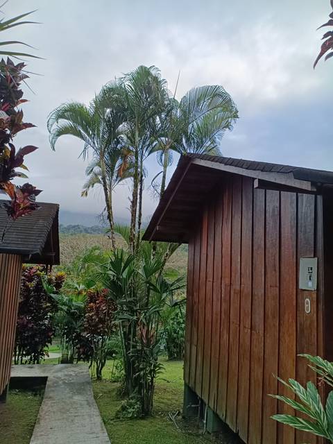 Simple wooden cabin amid lush tropical foliage with mountains shrouded in mist behind