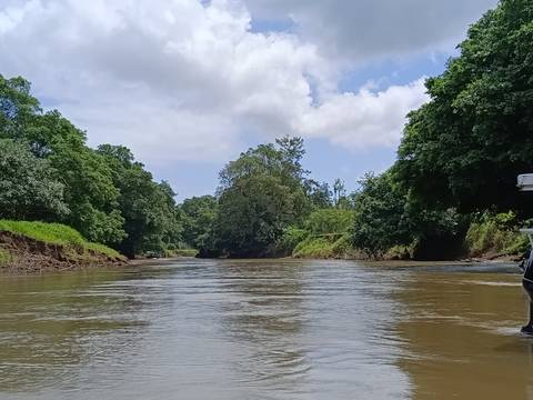 Wide river flanked by dense jungle trees below a partly cloudy sky