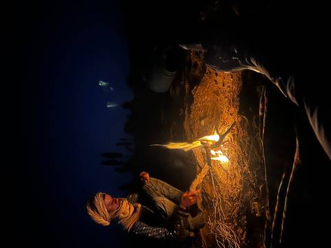 Nomad tends a small campfire beneath a starry desert sky at night.