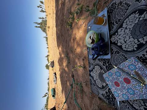 Moroccan tea set and snacks placed on patterned carpet with sandy desert beyond.