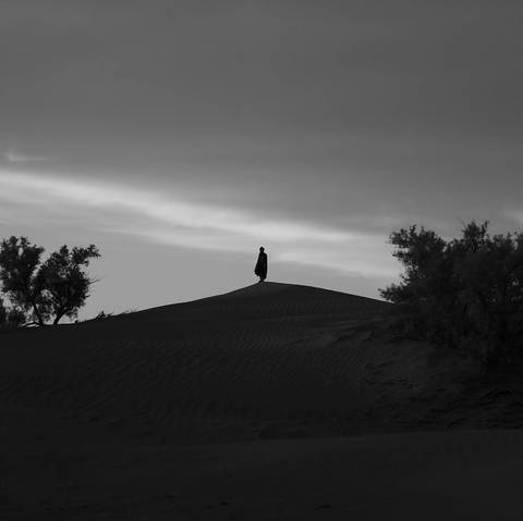A lone figure stands atop a wind-rippled dune in a monochrome desert scene framed by sparse shrubs.