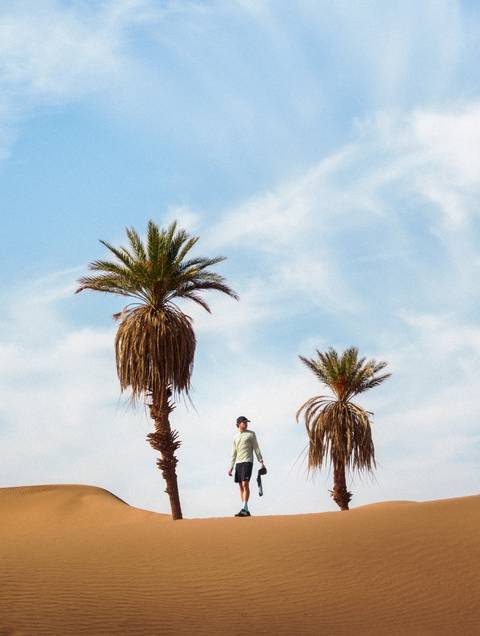 A traveller walks below two isolated palm trees against a vast blue desert sky.