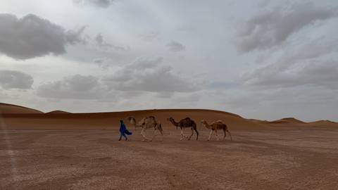 Blue-robed guide leading three camels across the vast reddish dunes under a cloudy desert sky