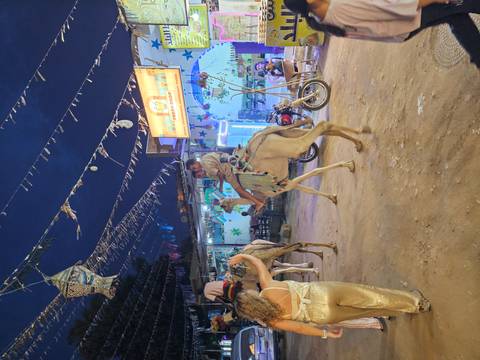 Marketplace at night with strings of lights, camels carrying riders and colourful stalls.