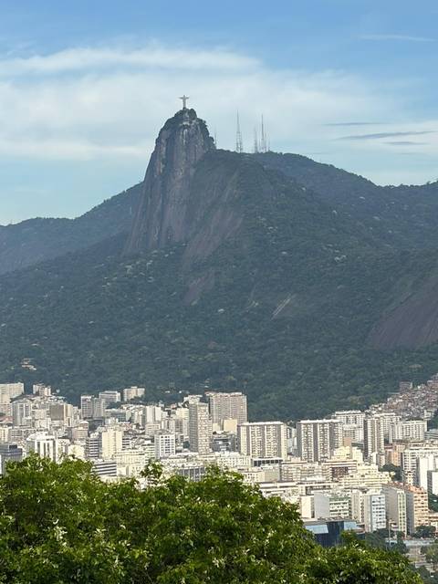 Verdant forested mountain rising behind Rio's urban fringe under muted light.