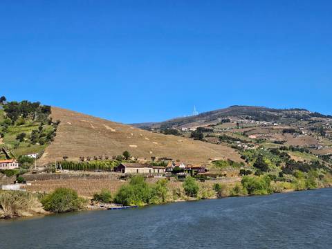 Douro Valley hillside vineyards and farmhouses overlooking the river under clear blue skies.