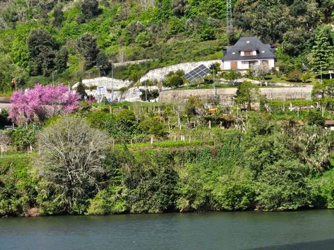Lush riverside slope with blooming trees and a modern house featuring rooftop solar panels.