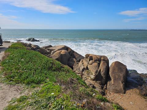 Rocky Atlantic shoreline with foamy surf and low green vegetation in the foreground.