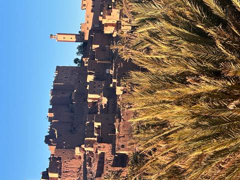 Earthen kasbah structures of Ait Benhaddou rising above a palm grove under clear blue sky