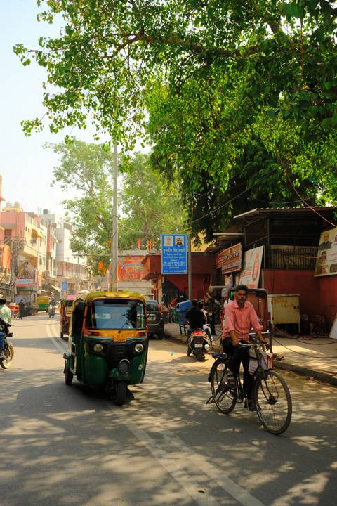 Busy Indian street with auto-rickshaws, motorbikes and pedestrians under leafy trees and colorful shop signs.