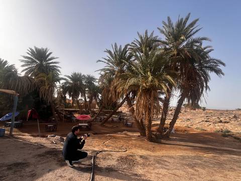 Desert palm grove picnic area with lone photographer crouching in sandy terrain