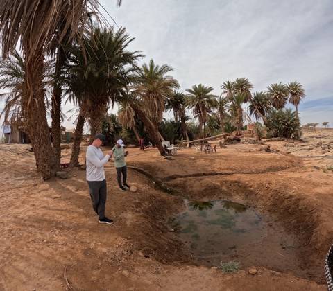 Travellers standing near small desert spring surrounded by tall palm trees