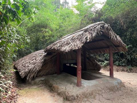 Low thatched entrance shelter over an underground tunnel in a tropical forest.