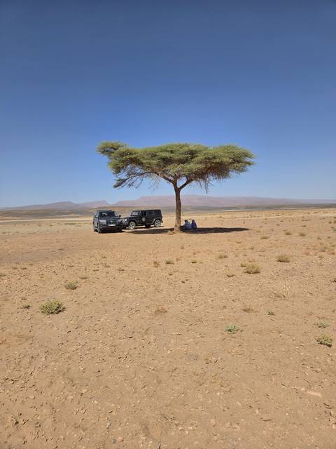 Two off-road vehicles and travellers resting under a solitary tree on open desert plain