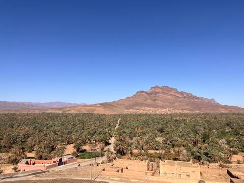 Vast date-palm oasis stretching to the base of a rugged mountain under a deep blue sky.