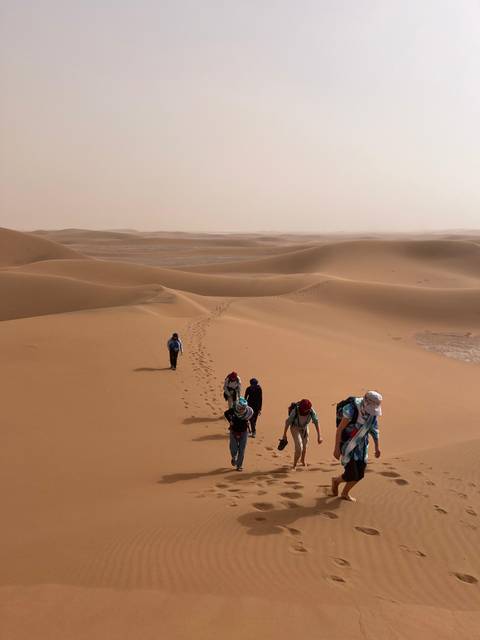 Hikers crest a sand dune in a vast sea of golden desert, leaving a trail of footprints behind.